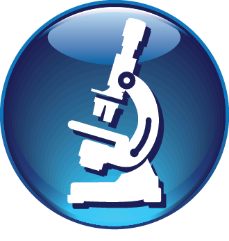 Il corso della soluzione di addestramento ad ultrasuoni SonoSim si integra con il curriculum della Scuola di medicina e l'educazione medica