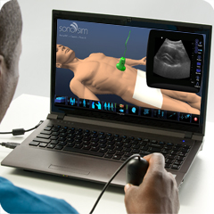 Ultrasound Simulator for Aorta/IVC: Core Clinical Module