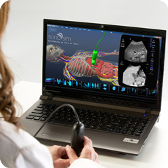 Ultrasound Simulator for Biliary Tree: Anatomy & Physiology Module