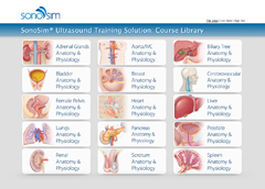 Didactic Ultrasound Modules and Online Courses