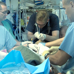 Airway: Module clinique de base