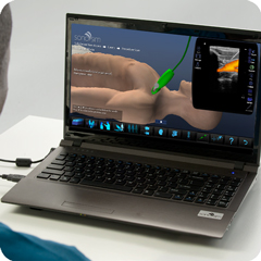 Ultrasound Simulator for Ultrasound-Guided Subclavian Vein Cannulation: Procedure Module