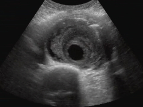 Simulationszentrum Sonosim