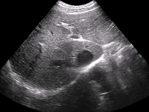 Simulationszentrum Sonosim