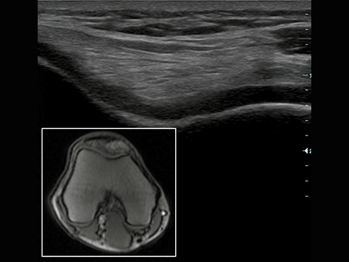 Simulationszentrum Sonosim